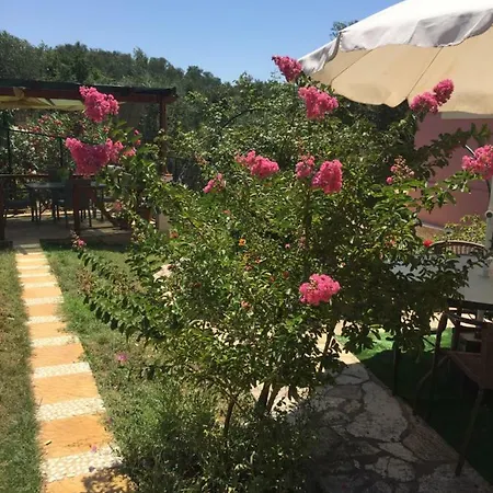Villa Vila Irini *