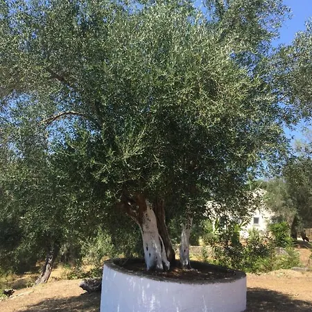 Villa Vila Irini
